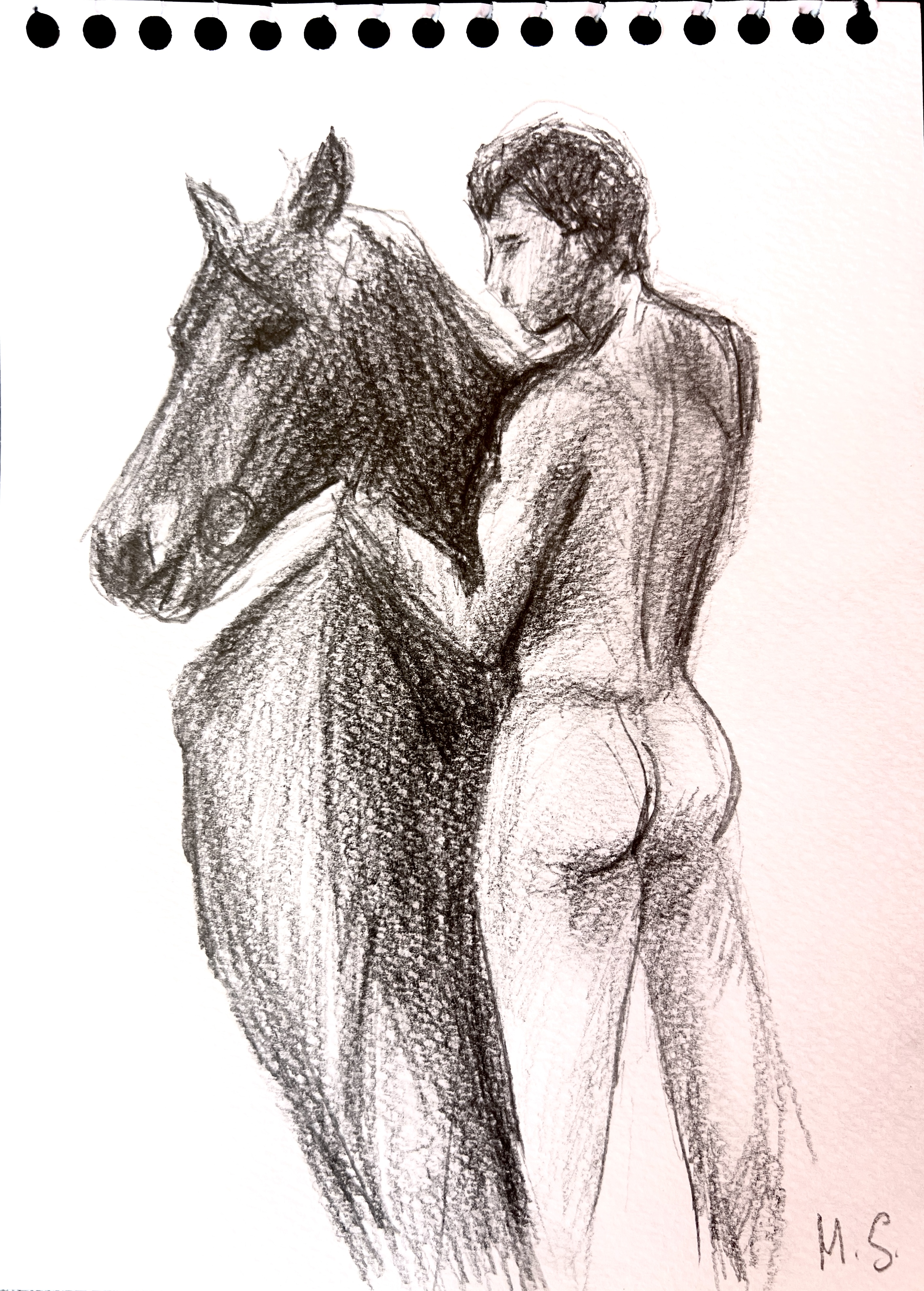 Nude Man and a Horse, original male nude pencil drawing